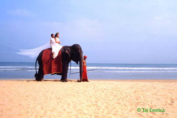 Tourists getting married in Sri lanka - courtesy of Vivanta by Taj