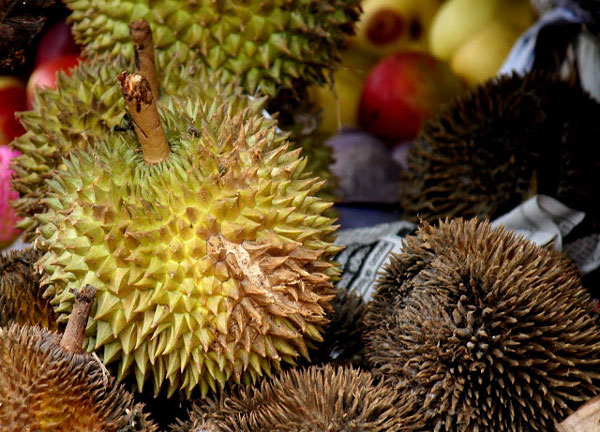 Durian - not for the faint hearted!